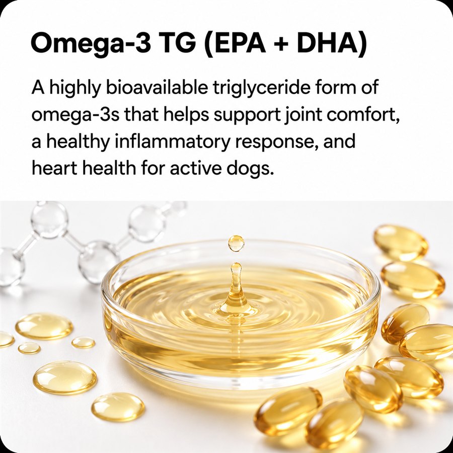 Omega-3 TG (EPA + DHA) — joint, coat, and heart support